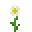 File:Grid Oxeye Daisy.png